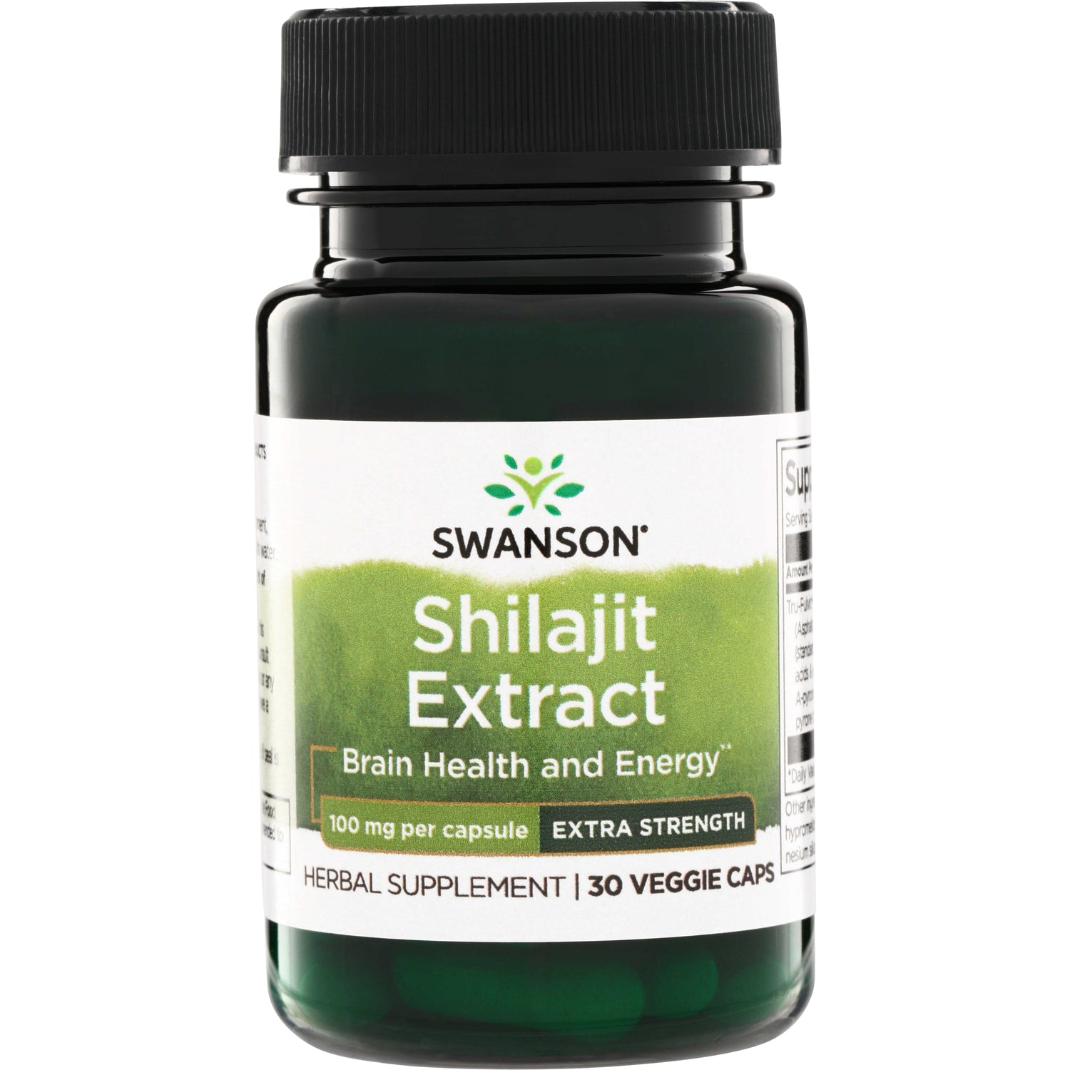 Swanson Shilajit Extract 100mg (30)