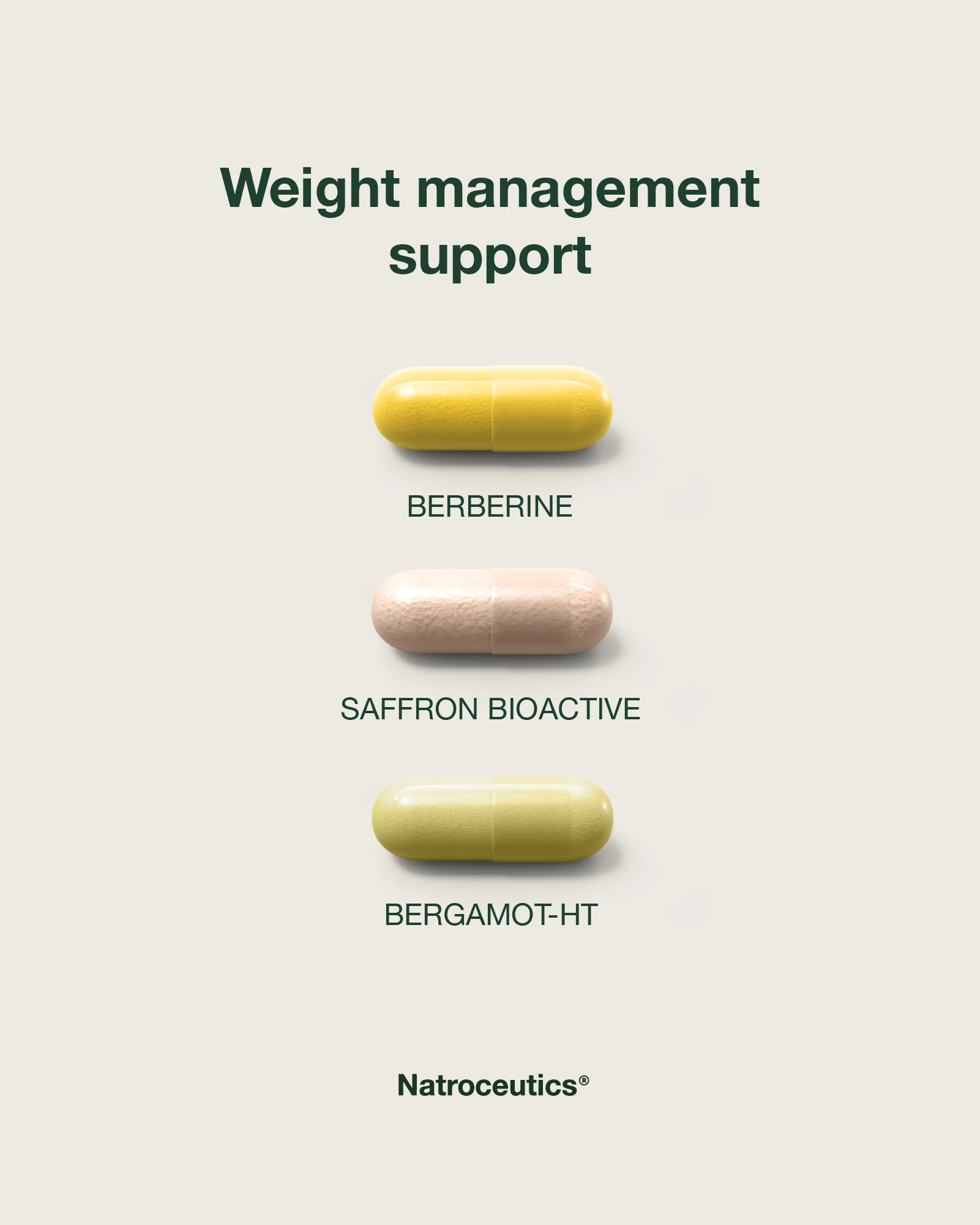 Natroceutics Milk Thistle Bioactive