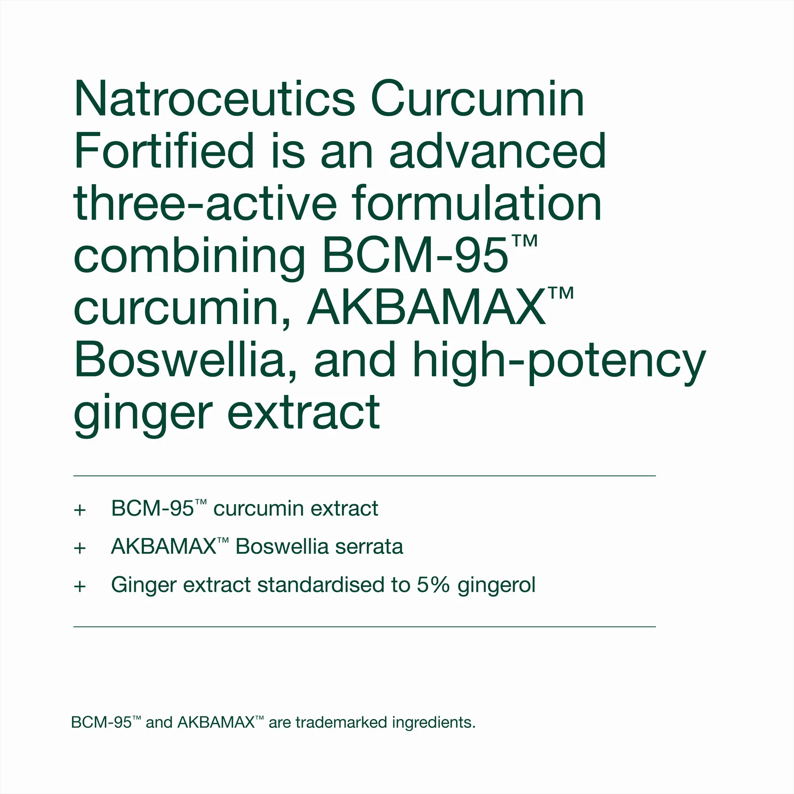 Natroceutics Curcumin Fortified
