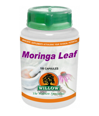 Willow Moringa (100)