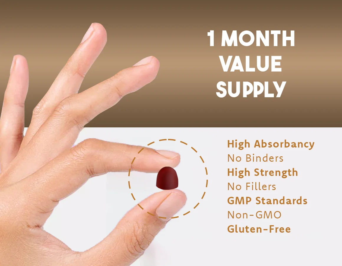 New Leaf Lion's Mane Gummies (60)
