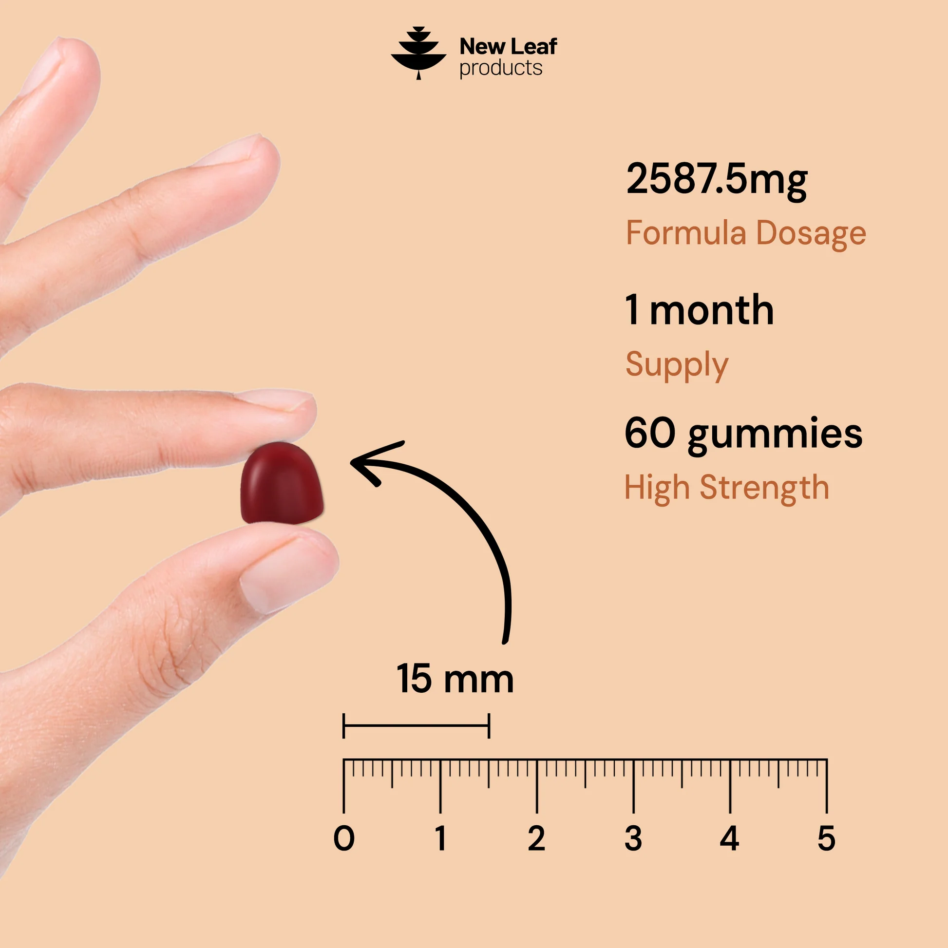 New Leaf Lion's Mane Gummies (60)