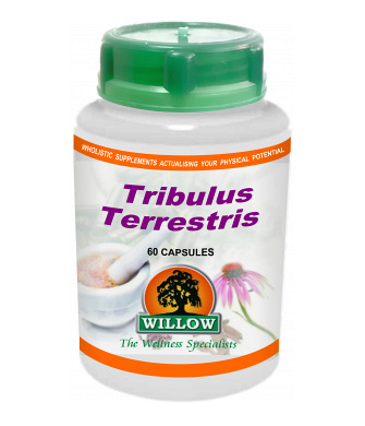Willow Tribulus Terrestris (60)
